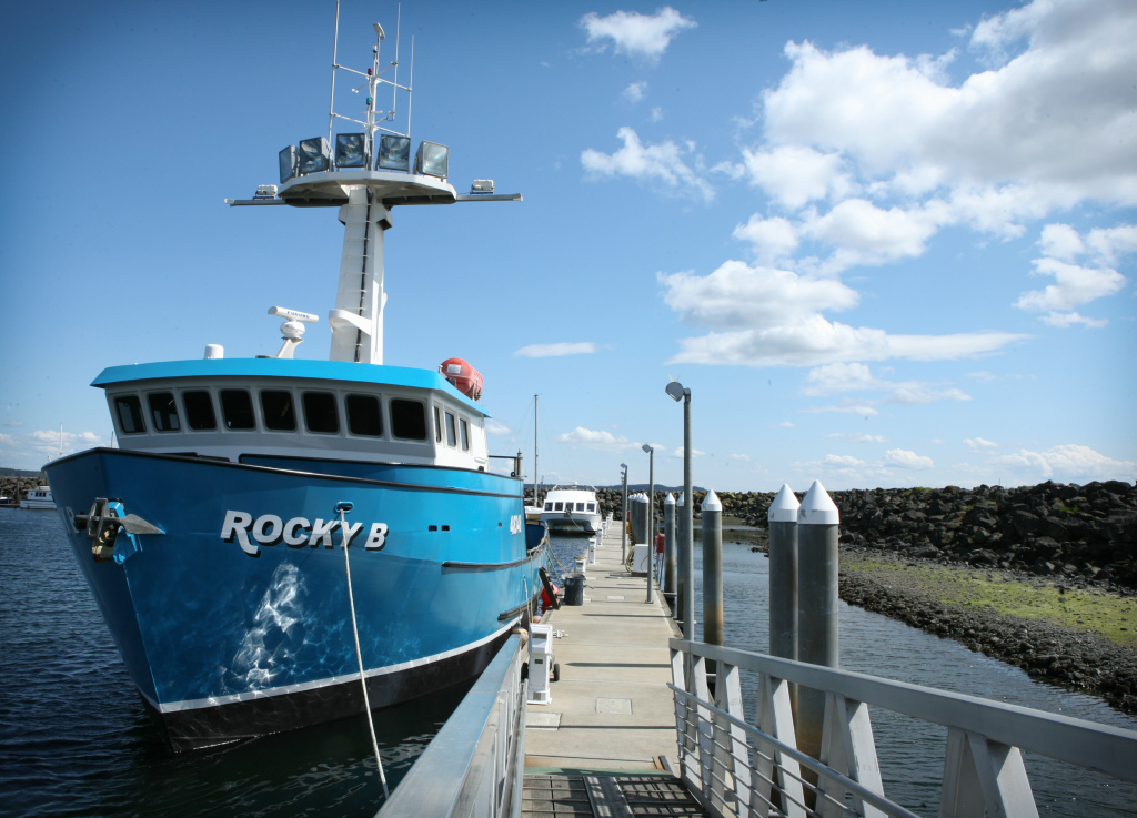 Rocky B Launched